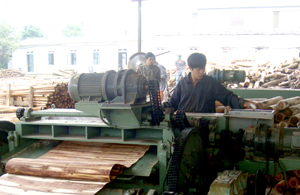 Công ty cổ phần Sơn Thủy, xã Dân Hòa (Kỳ Sơn) sản xuất các sản phẩm từ gỗ, giải quyết việc làm tại chỗ cho nhiều lao động địa phương. Ảnh: P.V